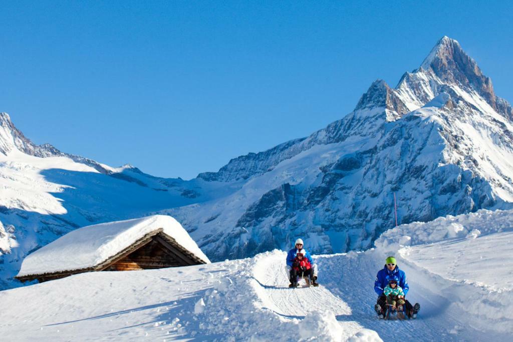 Wetterhorn, Eiger, Jungfrau, Amazing! Apartment Grindelwald Exterior photo
